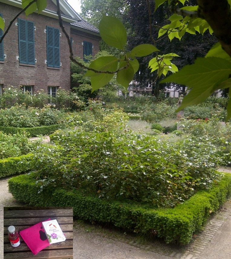 Lesen im Rosengarten