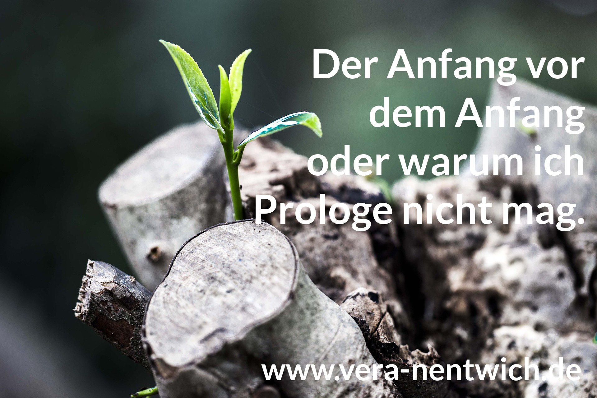 Der Anfang vor dem Anfang oder warum ich Prologe nicht mag